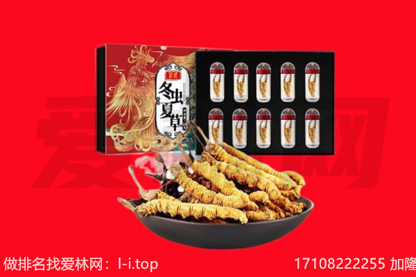 哈尔滨市回收虫草.jpg